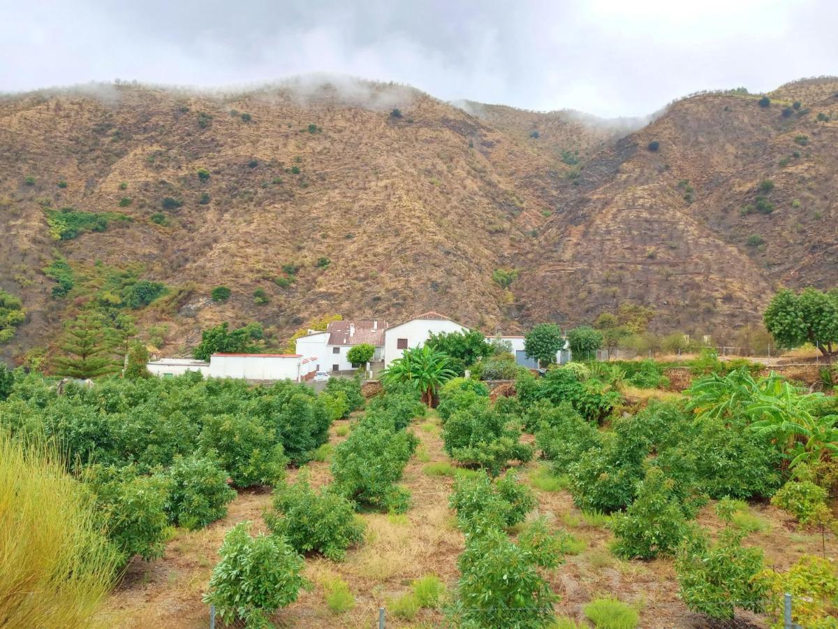 Villa La Casita Azul - Casa típica andaluza Albunol Esterno foto